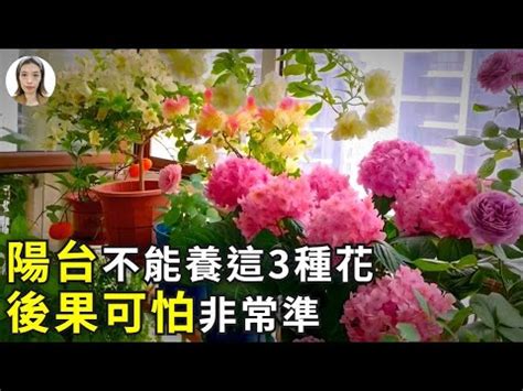 陽台種花禁忌|陽台種花禁忌指南：打造安全、健康的綠色天堂 